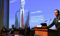 Pääbo es el director del departamento de Genética del Instituto Max Planck de Antropología Evolutiva.