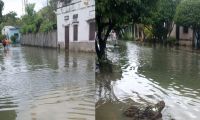 Así están las calles del municipio. 