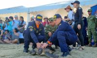 Liberación de las especies en Playa Lipe