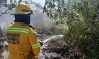 Incendios de cobertura vegetal.