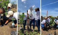 Jornada de siembra de árboles