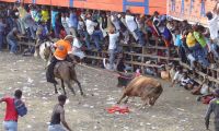 Proponen abolir las corralejas. 