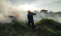 Isla Salamanca: el cuerpo de bomberos informa que está controlado el incendió  