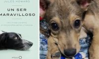 El libro brinda una mirada científica a la relación entre perros y humanos.