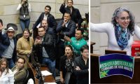 Por mayoría, el Congreso hundió la iniciativa de la senadora Pizarro.