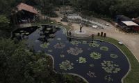 Jardín Botánico de Cali