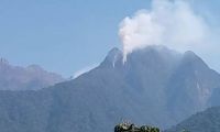 Incendio en Palmor de la Sierra.