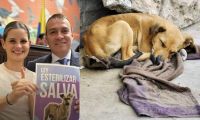 Proyecto de esterilización nacional es una realidad