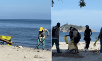 Dadsa y Atesa logran recolectar casi 56 toneladas de residuos en playas de Santa Marta