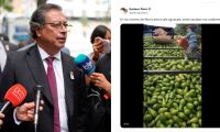 Presidente Gustavo Petro