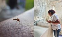 Casos de dengue en Santa Marta
