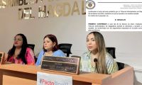 Decisión del Consejo de Estado.