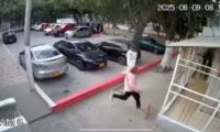 Momento en el que este sujeto golpeó mortalmente al perrito.