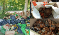 Alimentos del PAE terminan en la basura frente a un colegio en Zona Bananera