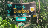 Ecohabs Bamboo Tayrona