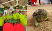 Jornada de liberación de especies.