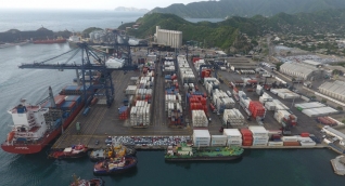 Puerto de Santa Marta está listo para exportar aguacates