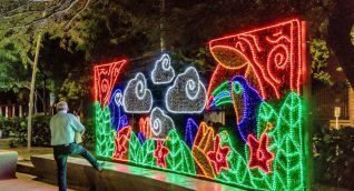Alumbrado navideño