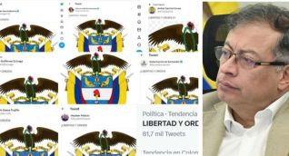 La tendencia ya supera los 80 mil mensajes en Twitter