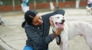 Esterilizaciones masivas en Santa Marta