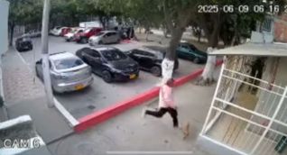 Momento en el que este sujeto golpeó mortalmente al perrito.