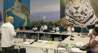  taller intensivo de transferencia de ambiente
