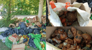 Alimentos del PAE terminan en la basura frente a un colegio en Zona Bananera