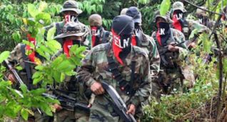 investigan si habría sido reclutada por las disidencias de las FARC.