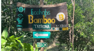 Ecohabs Bamboo Tayrona