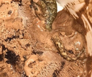 El helado con el reptil. 