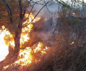 Incendio cerca a la cancha de fútbol de Gaira.