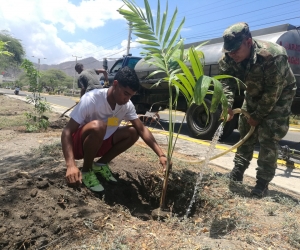 Fueron sembrados ceibas, robles, guayacanes, carretos y 30 palmeras.