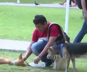 Miembro de los Guardianes Caninos alimentando a uno de las mascotas de la Universidad.