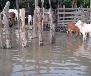Archivo Aspecto de las inundaciones en San Marcos (Sucre).