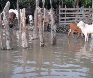 Aspecto de las inundaciones en San Marcos (Sucre).