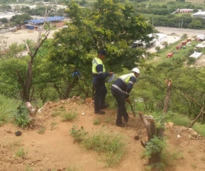 Operativos de recuperación de 400 metros del cerro de ‘La Llorona’ en el sector de la Troncal de Caribe. 