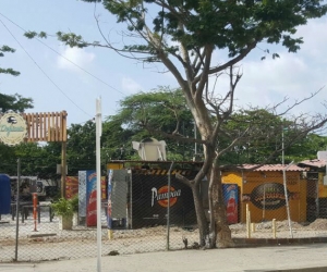 Estos establecimientos agrupan a varios restaurantes de la ciudad.