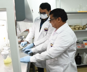 Los investigadores realizaron las pruebas en laboratorio para descubrir el fungicida que ataca la Sigatoka negra.