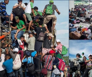  Los inmigrantes van en cualquier vehículo que los lleve o simplemente a pie. 