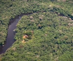 Amazonía colombiana se enfrenta a numerosos factores externos que amenazan su conservación.