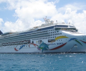 Norwegian Dawn, el crucero que venía con más de 2 mil cruceristas.