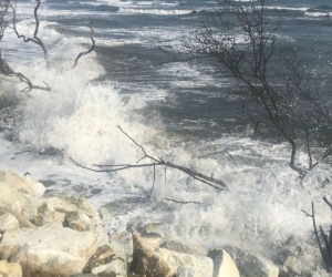 Estudios realizados en la zona determinaron un hecho concreto: no se puede seguir peleando con el mar.