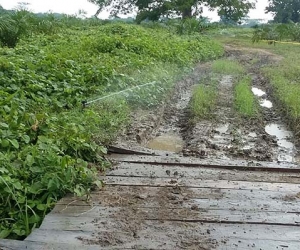 Estos distritos de riego servirán para impulsar el desarrollo agroindustrial del departamento.