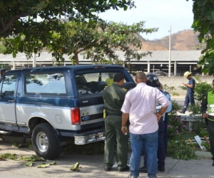 Al parecer una falla mecánica causó el accidente. 