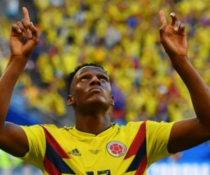 Yerry Mina