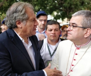 El secretario general de la Organización de Estados Americanos (OEA), Luis Almagro.