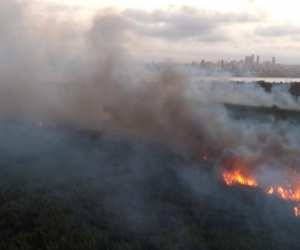 Incendio en el Vía Parque Isla Salamanca