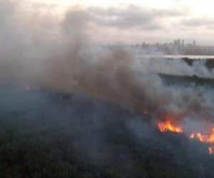 No hubo áreas de manglar afectadas por las llamas.