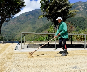 Con esta inversión, superior a los 2.160 millones de pesos, se logrará favorecer a 2.954 productores de 19 municipios del Magdalena.