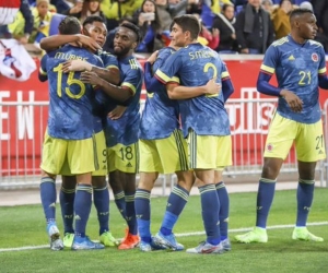 Celebración del gol de Colombia.